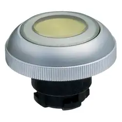 Кнопочный выключатель Schmersal RDLGB