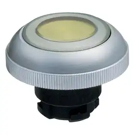 Кнопочный выключатель Schmersal RDLGB