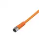 Разъем с кабелем IFM Electronic EVT122