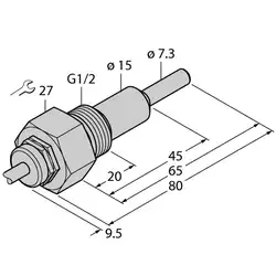 Датчик потока TURCK FCS-G1/2HC4-NAEX0/L065