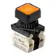 Кнопочный выключатель Autonics S2PRS-P3YL2BD