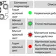 Магнитострикционные датчики линейных перемещений AMT Linear Position Sensor серии CS SSI