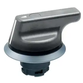 Селекторный переключатель Schmersal NWS21.1GR