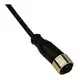 Разъем с кабелем DATASENSING CD12M/AA-020A1