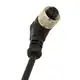 Разъем с кабелем DATASENSING CD12M/0H-050C3