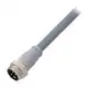Разъем с кабелем Balluff BCC A315-0000-20-030-VS85N4-050