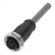Разъем с кабелем Balluff BCC A315-0000-10-030-PS85N4-150