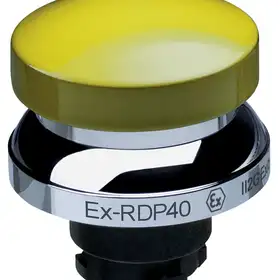 Кнопочный выключатель Schmersal EX-RDP40GB