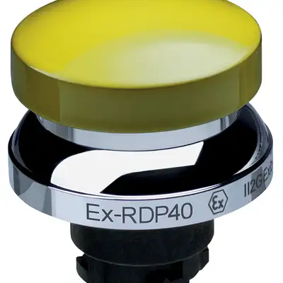 Кнопочный выключатель Schmersal EX-RDP40GB