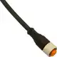 Разъем с кабелем DATASENSING CD12M/0H-100A5