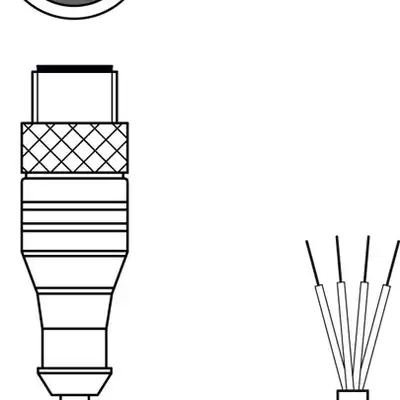 Разъем с кабелем Leuze Electronic CB-M12-2000-4GMB