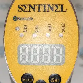 Датчик давления Sentinel SEBS-1/4GA-APN8D-SC