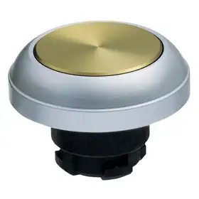 Кнопочный выключатель Schmersal RDTGB