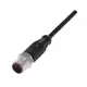 Разъем с кабелем Balluff BCC M414-0000-2A-003-PW0434-050