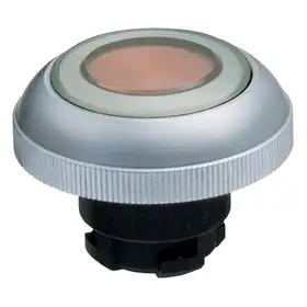 Кнопочный выключатель Schmersal RDLMRT