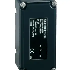 Магнитный герконовый датчик Schmersal BN 20-RZ