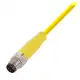 Разъем с кабелем Balluff BCC M314-0000-20-003-EX44T2-100