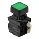 Кнопочный выключатель Autonics S2PRS-P3GLABLM