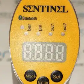Датчик давления Sentinel SEC5-1/4GA-DPN8D-SC