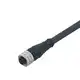 Соединительный кабель IFM Electronic E11311
