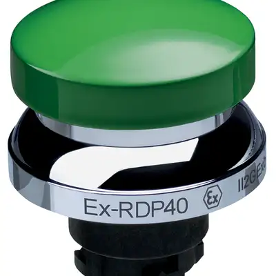 Кнопочный выключатель Schmersal EX-RDP40GN
