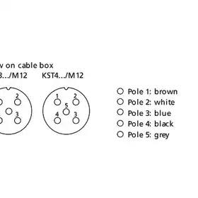 Соединительный кабель Microsonic KST5G-10/M12