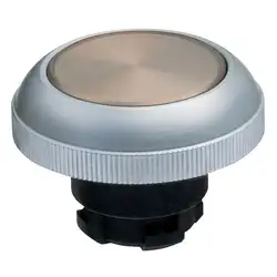 Кнопочный выключатель Schmersal RDMRT