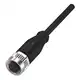 Разъем с кабелем Balluff BCC M415-0000-1A-003-PX0434-075
