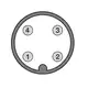 Световая завеса DATASENSING BX80B/2N-0H
