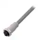 Разъем с кабелем Balluff BCC A315-0000-10-030-VS85N4-100