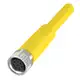 Разъем с кабелем Balluff BCC M318-0000-10-069-PX4825-020-C033