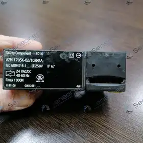 Дверной выключатель безопасности Schmersal AZM170SK-02/10ZRKA-24VAC/DC