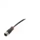 Разъем с кабелем Balluff BCC M41C-0000-1A-169-PS0C08-050-C009