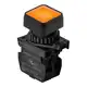 Кнопочный выключатель Autonics S2PRS-P3YUAD