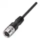 Разъем с кабелем Balluff BCC S518-0000-1Y-133-PS0825-350