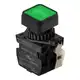 Кнопочный выключатель Autonics S2PRS-P3GUABLM