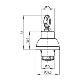 Селекторный переключатель с ключом Schmersal RSS32S123