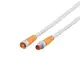 Соединительный кабель IFM Electronic EVW103