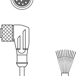 Разъем с кабелем Leuze Electronic KD S-M12-CW-P1-050