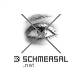 Кнопочный выключатель Schmersal NDLP30BL/GB