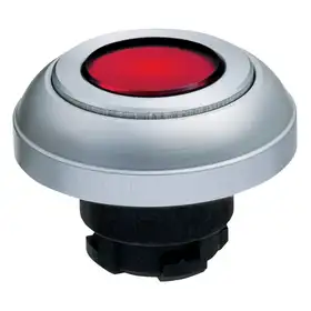 Кнопочный выключатель Schmersal RDLRT