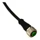 Разъем с кабелем DATASENSING CD12M/0B-070A1