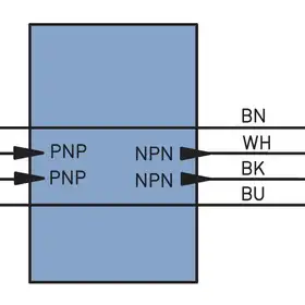 Разъем с кабелем Wenglor BG2V1P-N-2M