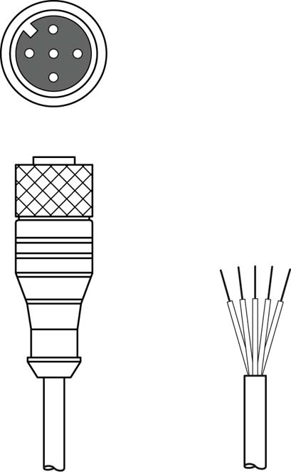 Разъем с кабелем Leuze Electronic CB-M12-25000S-5GF