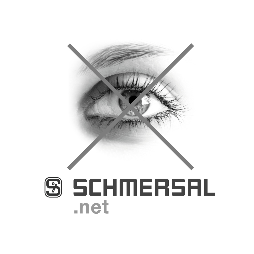 Кнопочный выключатель Schmersal NDLP30BL