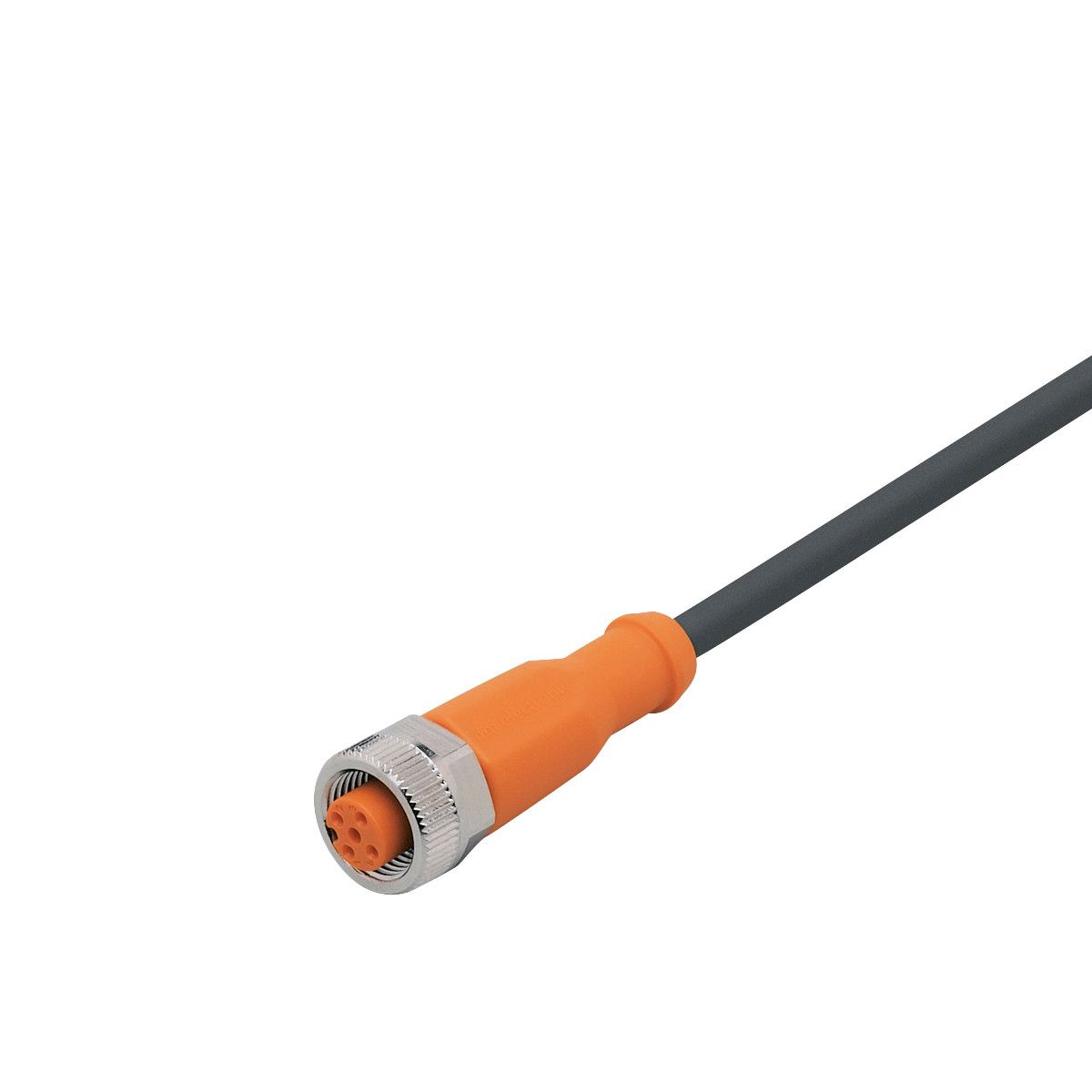 Разъем с кабелем IFM Electronic EVC002