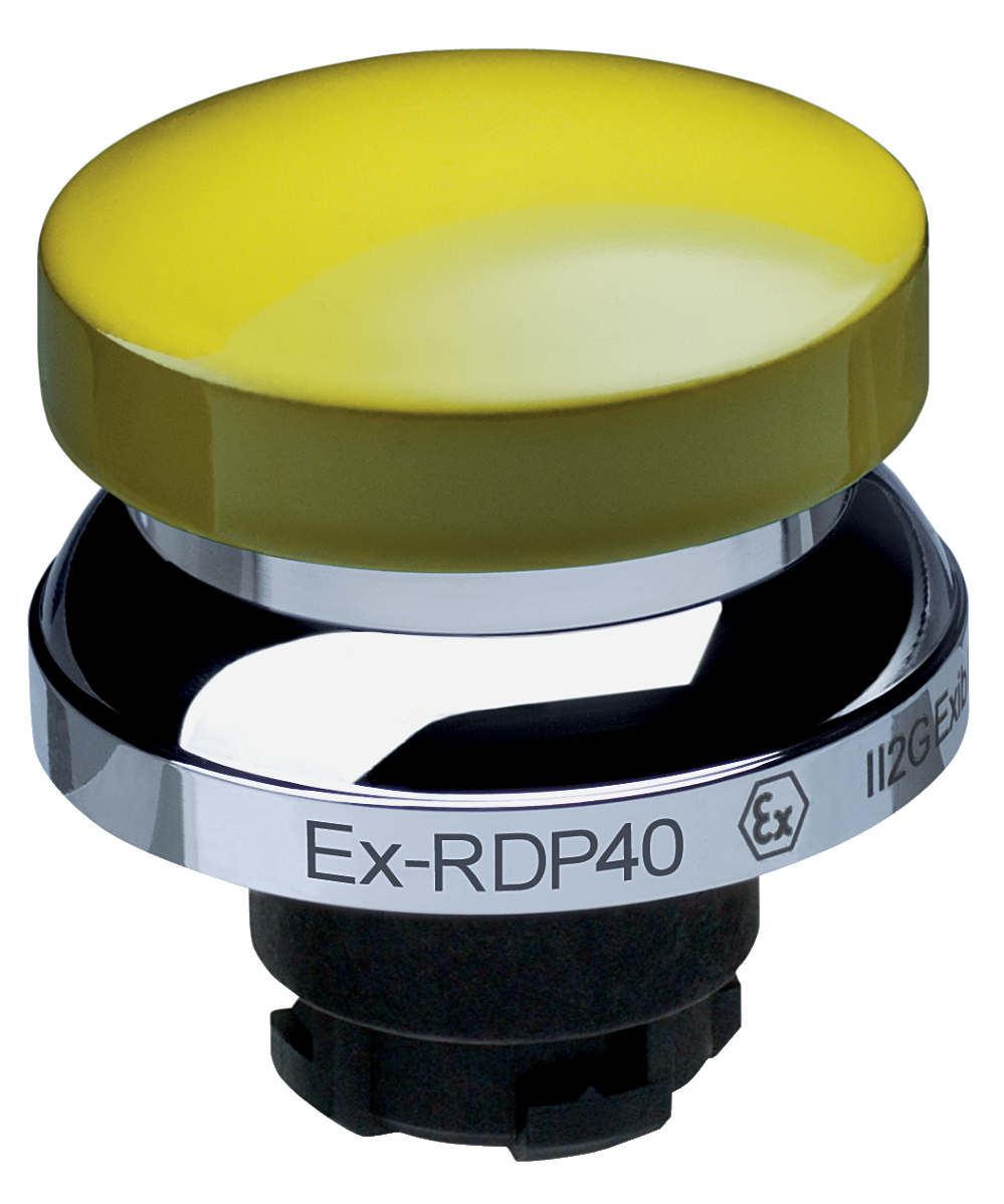 Кнопочный выключатель Schmersal EX-RDP40GB
