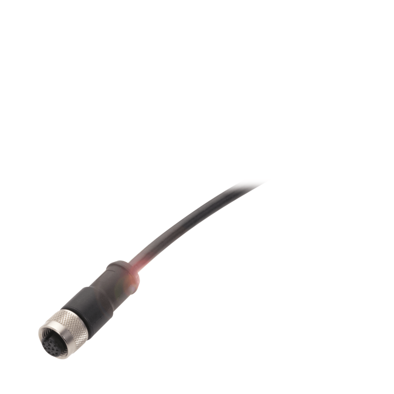 Разъем с кабелем Balluff BCC M41C-0000-1A-169-PS0C08-050-C009