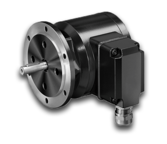 Инкрементальный энкодер Baumer POG10M DN 250 I